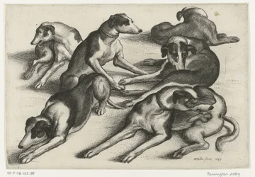 Sei cani da caccia sdraiati