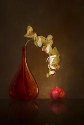 Orchidea malinconica e melograno