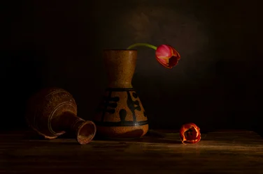 Natura morta con tulipani malinconici