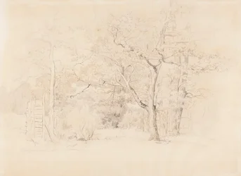 Paesaggio, boschetto