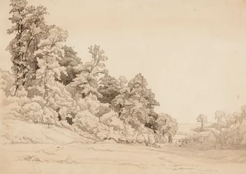 Paesaggio, pendio collinare