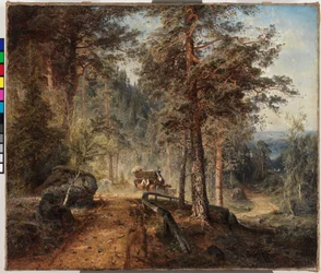 Strada in Häme (Una calda giornata estiva)