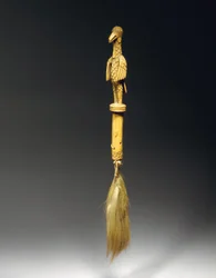 Scacciamosche, Benin