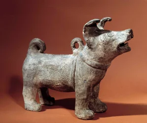 Arte cinese: molosso con imbracatura. Statuetta funeraria in terracotta del Periodo Han (206 a.C.-220 d.C.). Museo Cernuschi, Parigi