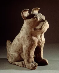 Arte cinese: molosso in terracotta