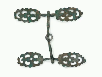 Briglia per cavallo