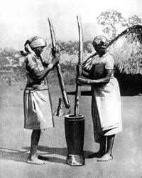 Due donne della tribù Mashona che pestano mais e miglio, Zimbabwe, Africa
