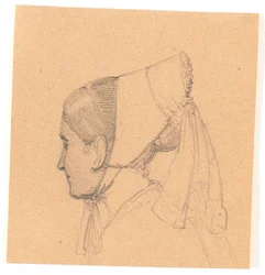 Testa di una giovane donna. Profilo a sinistra