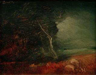 Bordo della foresta cupo (Fuoco di patate)