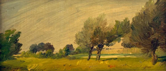Paesaggio estivo verde - Salici allo stagno