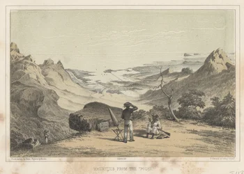 Mauritius dal Pouce, 1855