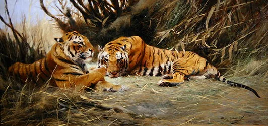 Tigri siberiane