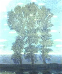 Alberi davanti a un lago