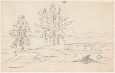 Paesaggio svedese