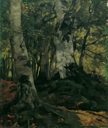 Bosco di faggi con coppia di innamorati