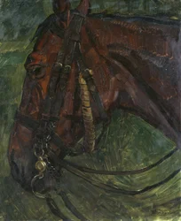 Testa di cavallo