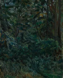Interno di foresta