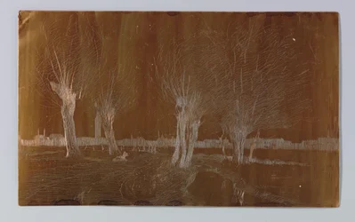 Salici presso il fossato vicino a Binckhorstlaan a L