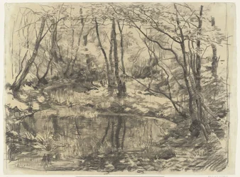 Lo stagno ricoperto di vegetazione a Ewijkshoeve