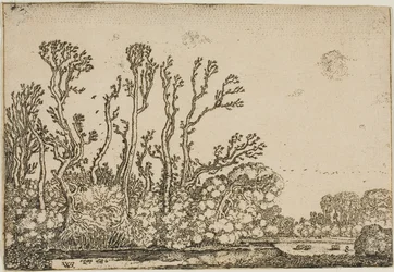 Paesaggio con alberi, stagno e pecore