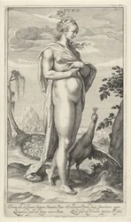 Giunone con pavone. Giunone (titolo sull