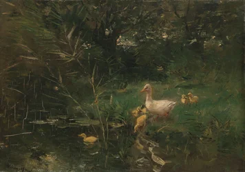 Anatroccoli
