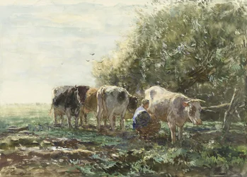 Il Recinto di Mungitura