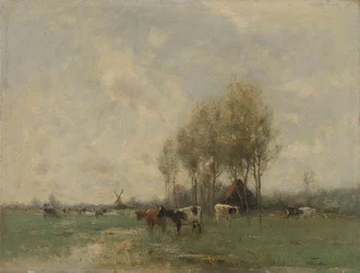 Prato con mucche