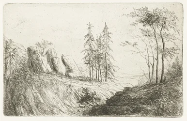 Paesaggio montano con alberi