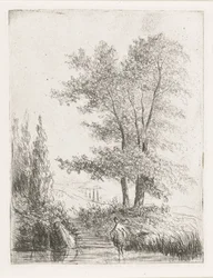 Paesaggio collinare con bagnante