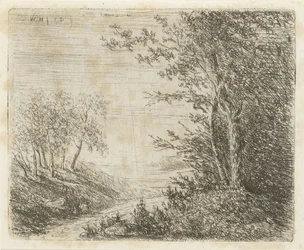 Paesaggio collinare con ruscello