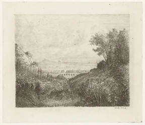 Paesaggio collinare con strada verso la valle