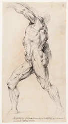 Studio anatomico (écorché)