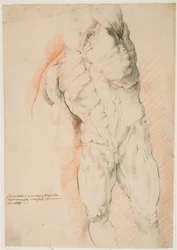 Studio anatomico (écorché). Vista frontale di un uomo scuoiato in piedi, con il braccio sinistro alzato