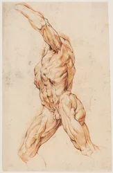 Studio anatomico (écorchés). Uomo scuoiato che cammina rivolto a sinistra