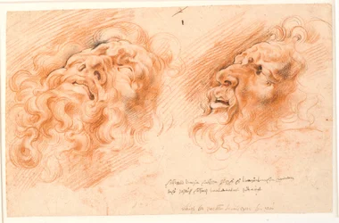 Laocoonte. Due studi del volto di Laocoonte, uno visto di fronte dal basso e l