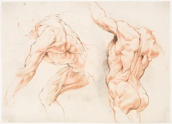Due studi anatomici di un uomo che si appoggia a sinistra e un altro visto da dietro con il braccio alzato (écorché)