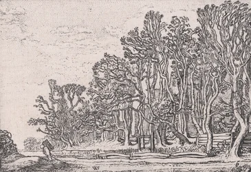 Due siepi di assi, da Verscheyden Landtschapjes Various Little Landscapes, Plate 6..., ca. 1616