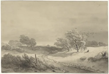Paesaggio dunale con tempo cupo