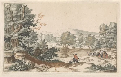 Paesaggio boscoso con una strada