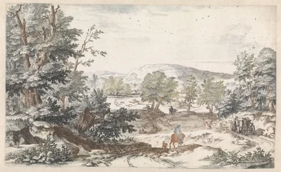 Bosrijk landschap met een weg