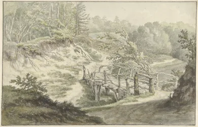 Paesaggio dunale con ponte di legno