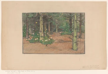 Bosco di alberi di Natale