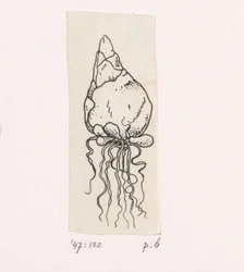 Bulbo di fiore