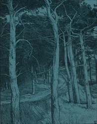 Bosco, c1912