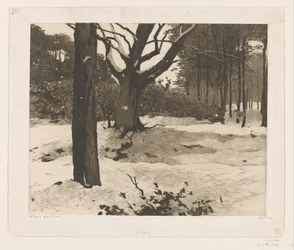 Paesaggio boschivo innevato a Ede
