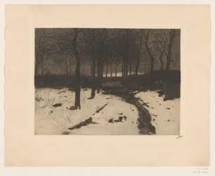 Sentiero nel bosco a Ewijkshoeve