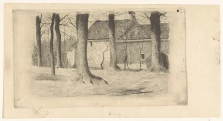 Alberi vicino a una casa