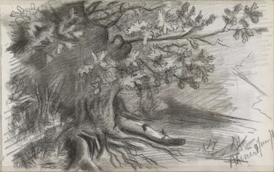 Paesaggio con un grande albero a Rhenen