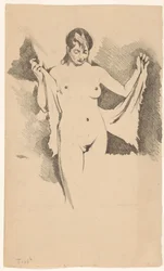 Donna nuda in piedi che si asciuga